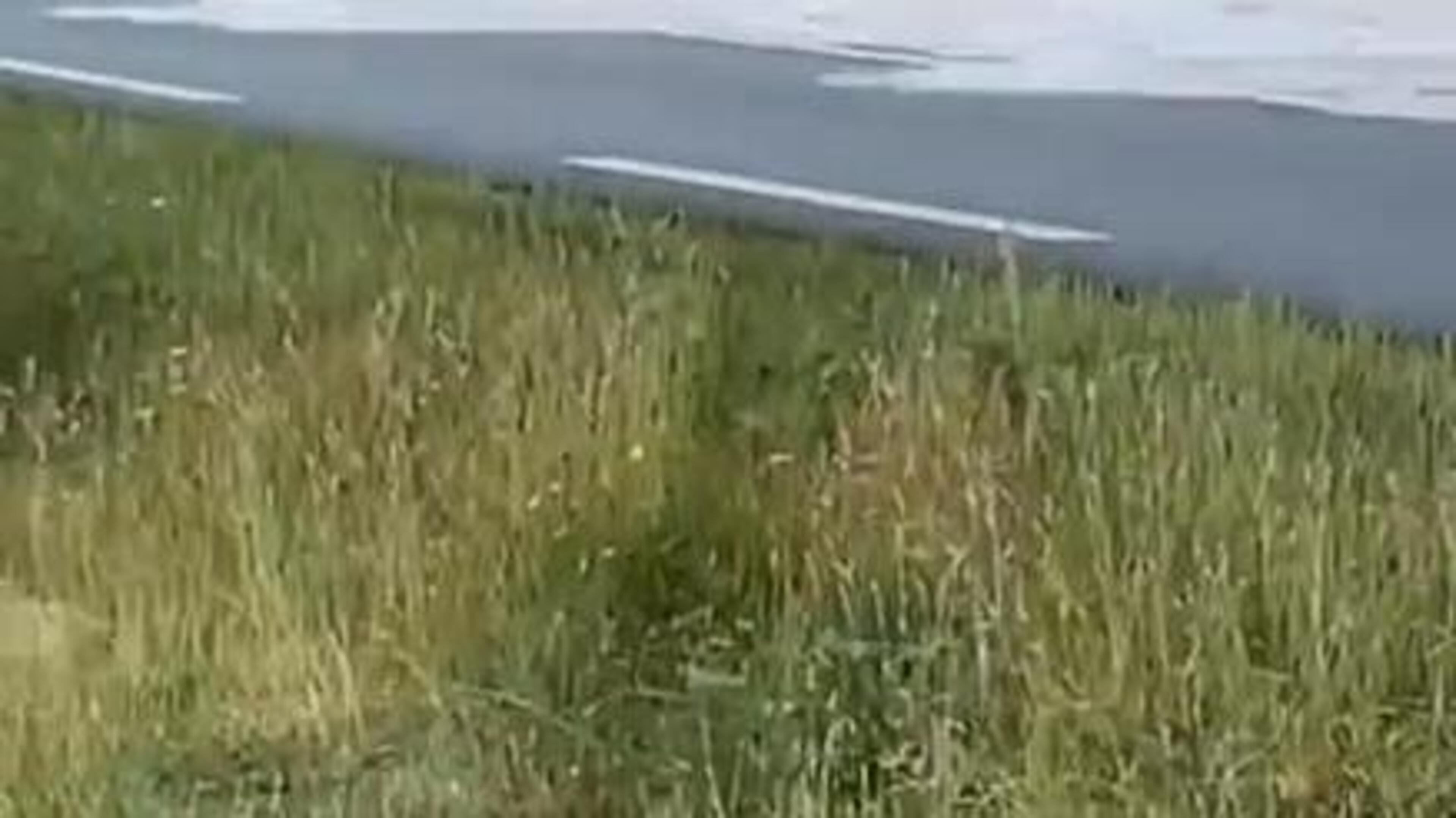 Video | Eem kijken bij de tewaterlating van een groot schip in Foxhol. Wat kan er misgaan?